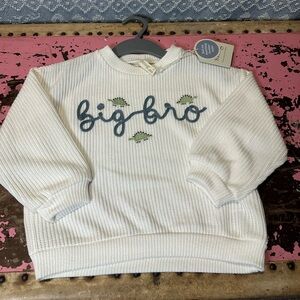 SNUG Organic Embroidered “Big Brother” white sweater with Dinosaurs Sz 3T - NWT